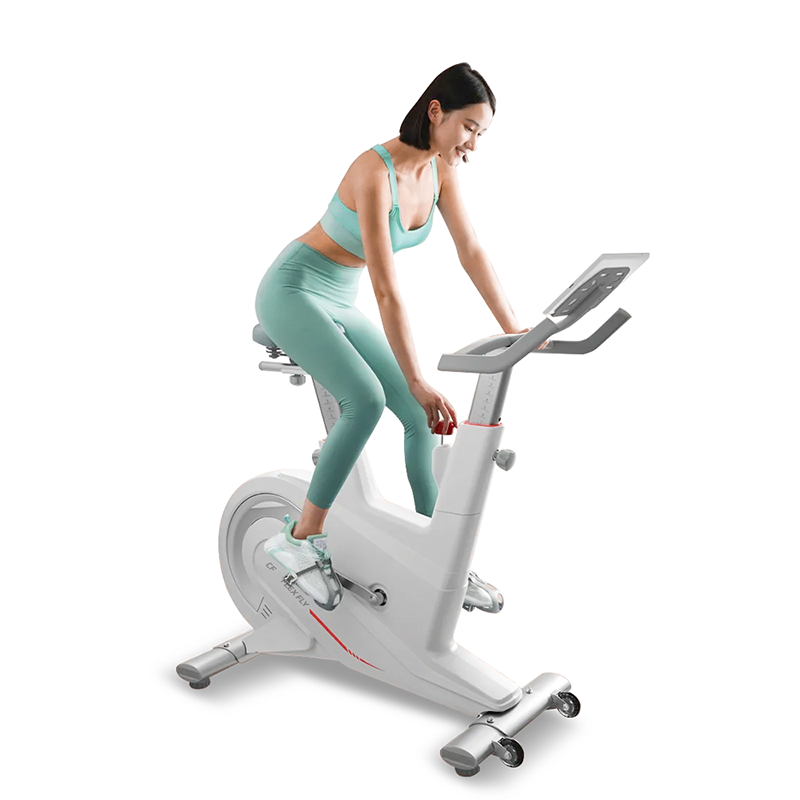 Flex FLY Spin Velosiped Səssiz Qapalı Fitness Velosipedi 130kq